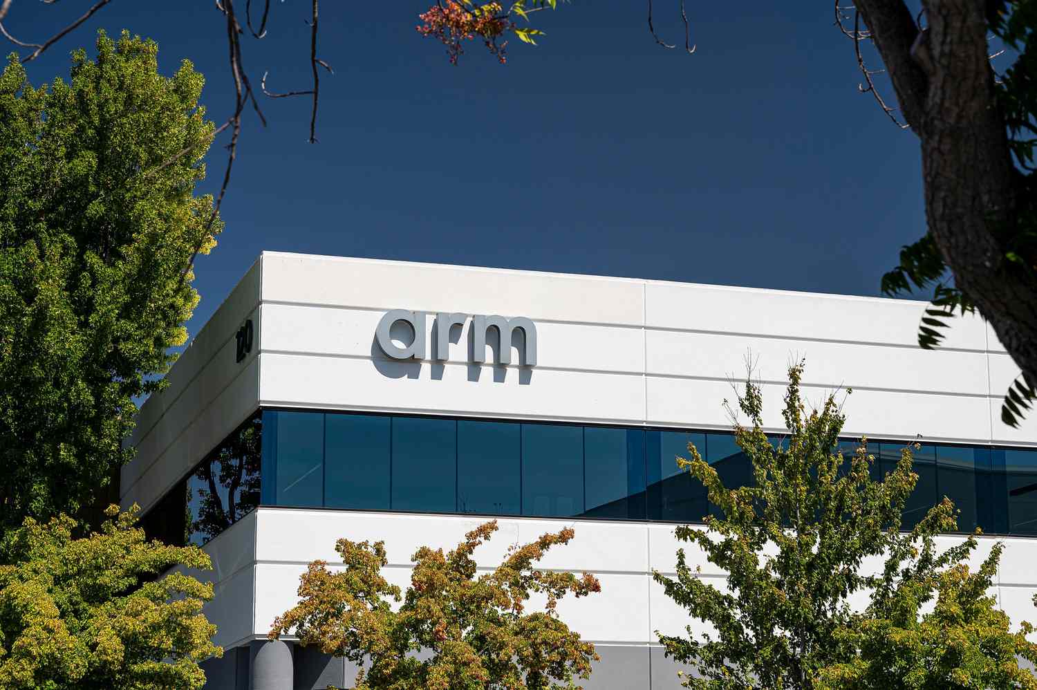 Arm Holdings 2