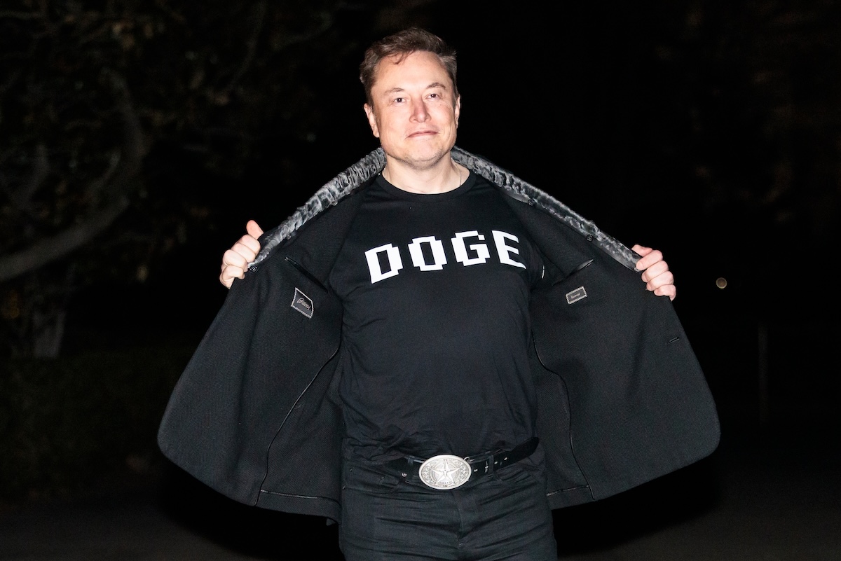 DOGE Elon Musk 2