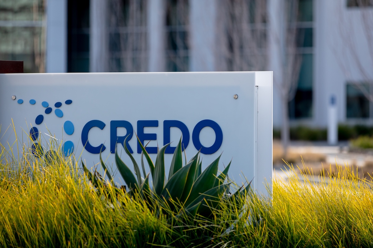 CRDO stock