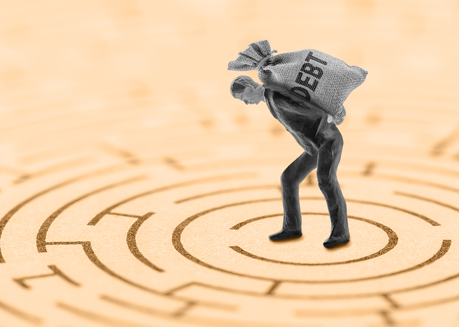 opportunity costs of debt management