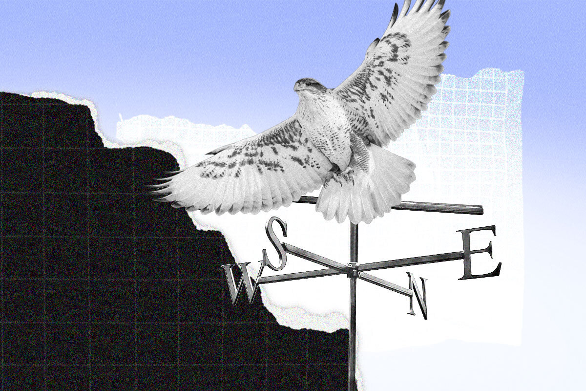 hawk
