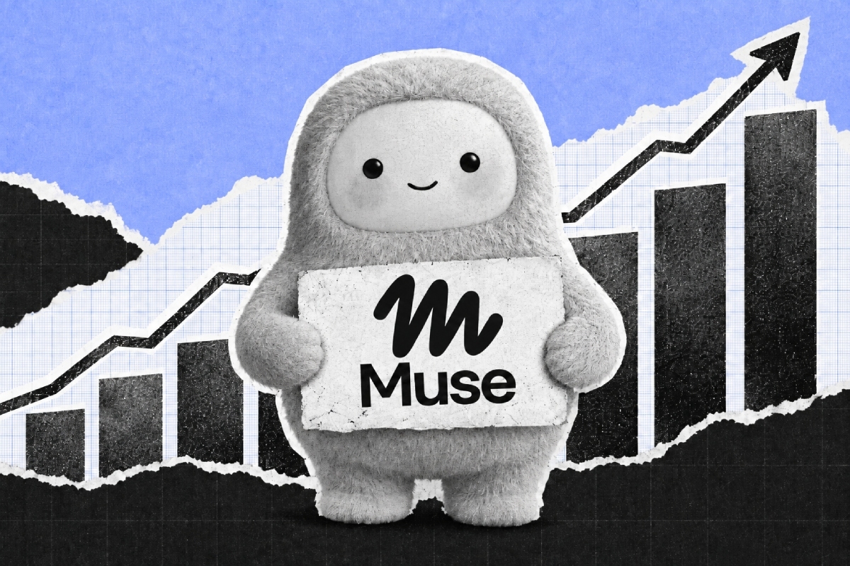 muse meta