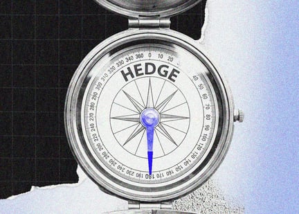 hedge compass